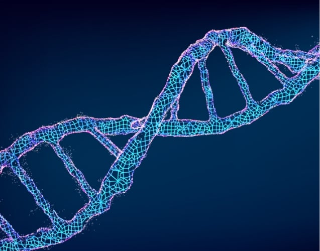 IPA Antibody Humanization