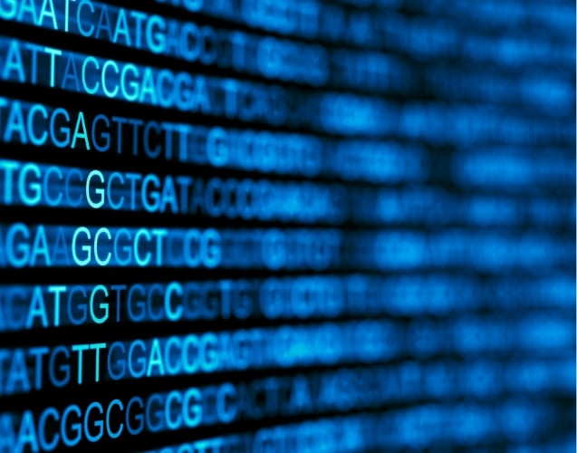 IPA Antibody Sequencing