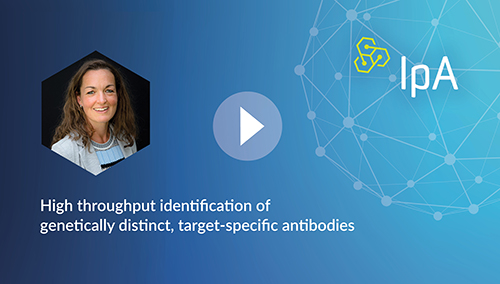 High throughput identification of genetically distinct, target-specific antibodies