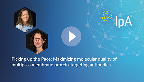 Optimization of Antibodies Against Multipass Membrane Proteins