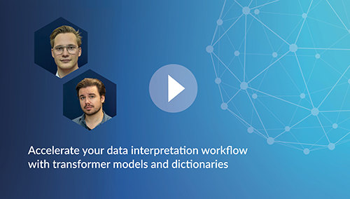 Accelerate Your Data Interpretation Workflow with Transformer Models and Dictionaries
