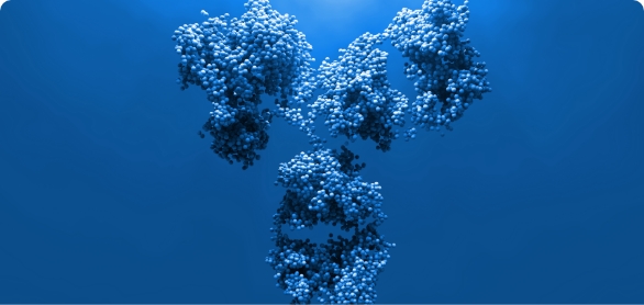 Diverse repertoire of sequences using rabbit B cell Select