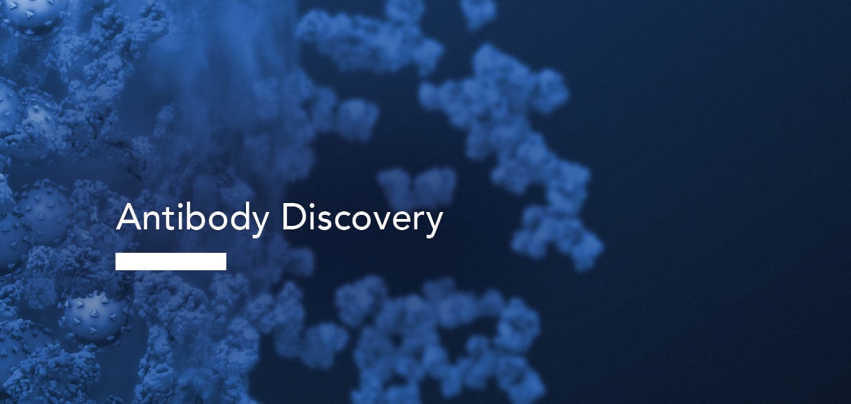 Antibody Discovery: Fully-integrated solution: from idea to lead generation